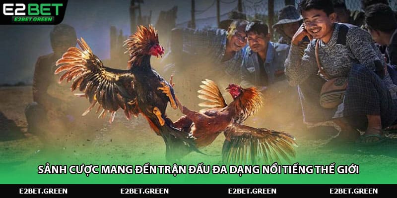 Sảnh cược mang đến trận đấu đa dạng nổi tiếng thế giới